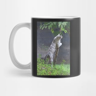 White Bengal Tiger Marking Territory Mug